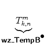 $\displaystyle \underbrace{ T^{m}_{k,n} }_{ \mbox{{\cmssbx wz\_TempB}}^{\mbox{$\bullet$}} }$