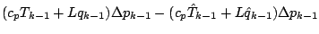 $\displaystyle (c_p T_{k-1} + L q_{k-1}) \Delta p_{k-1}
- (c_p \hat{T}_{k-1} + L \hat{q}_{k-1}) \Delta p_{k-1}$