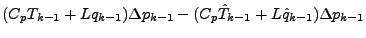 $\displaystyle (C_p T_{k-1} + L q_{k-1}) \Delta p_{k-1} - (C_p \hat{T}_{k-1} + L \hat{q}_{k-1}) \Delta p_{k-1}$