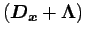 $\displaystyle \left(\Dvect{D_{x}} + \Dvect{\Lambda }\right)$